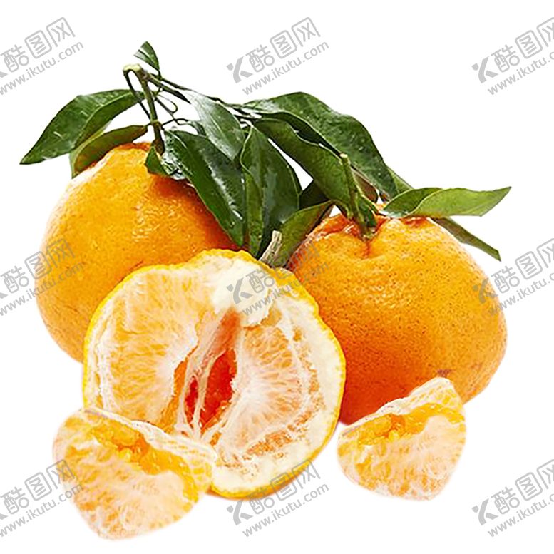 编号：25606910291651224360【酷图网】源文件下载-水果