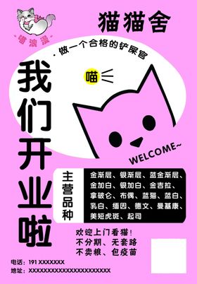 猫舍开业