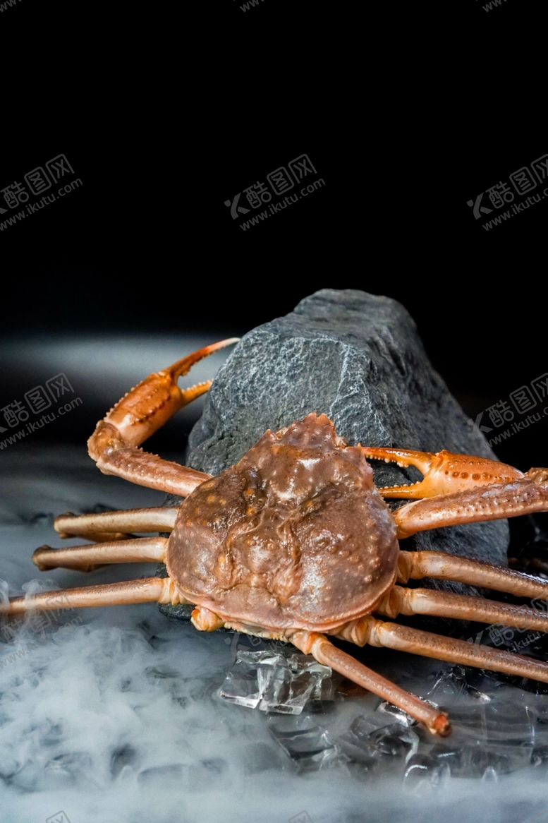 编号：11506309160057264721【酷图网】源文件下载-海鲜摄影