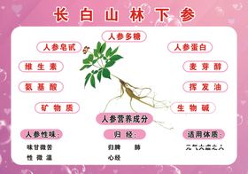 罗汉参全麦芽