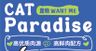 0418宠物猫粮品牌海报
