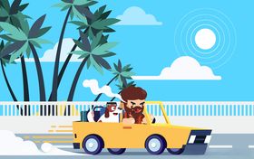 创意开车旅行的男子和宠物狗