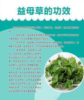 益母草的功效