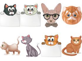 卡通猫