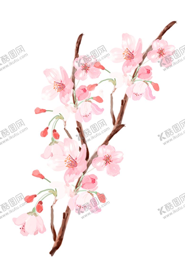 编号：66497310061644547031【酷图网】源文件下载-花枝