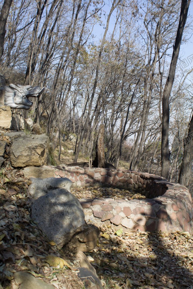 编号：54898810051009338430【酷图网】源文件下载-龙头雕塑