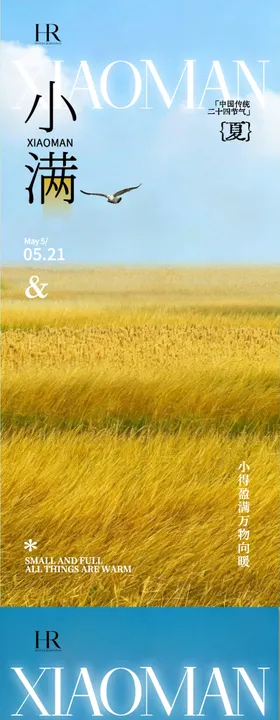 芒种小满海报