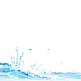浪花