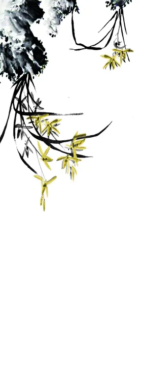 兰花