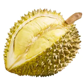 榴莲新鲜水果食材蔬菜绿色
