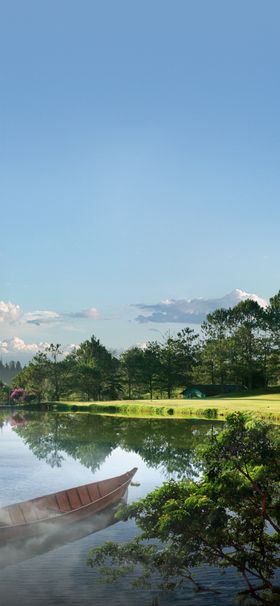 房地产湖景露台伞小鸟