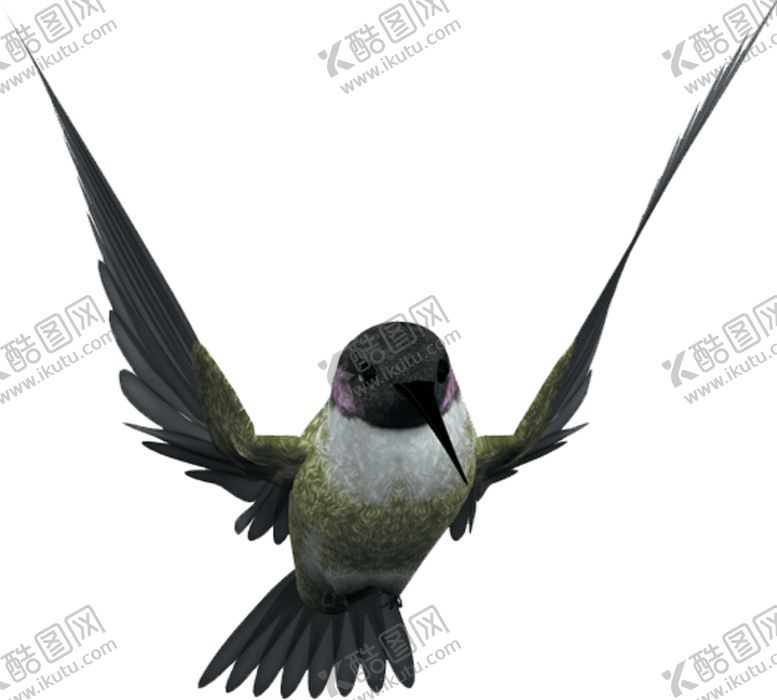 编号：89480411010823199535【酷图网】源文件下载-燕子素材