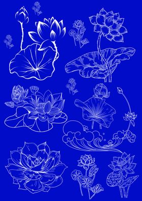 荷花线稿图