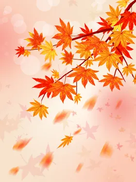 枫叶背景简约素材秋天