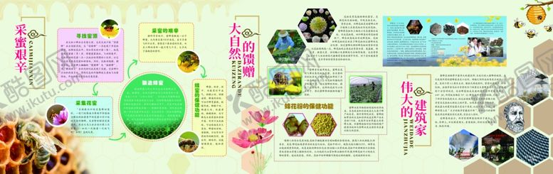 编号：77062009231701207455【酷图网】源文件下载-蜜蜂文化展厅墙面