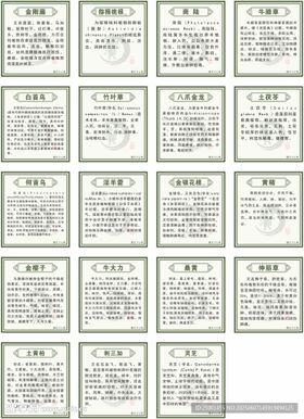中药材介绍
