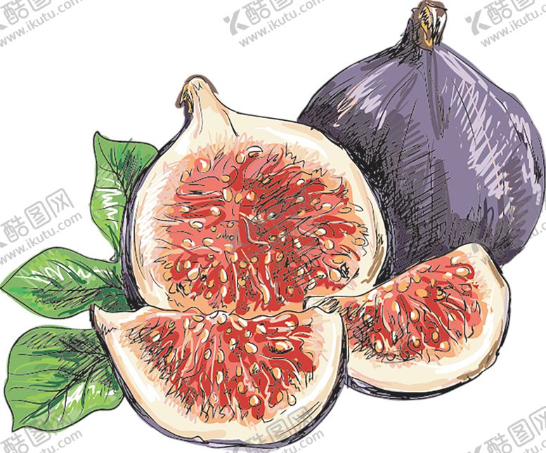 编号：10427710121828035822【酷图网】源文件下载-水果
