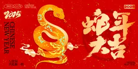 蛇年展板企业会国风背景签到背景墙元旦背景