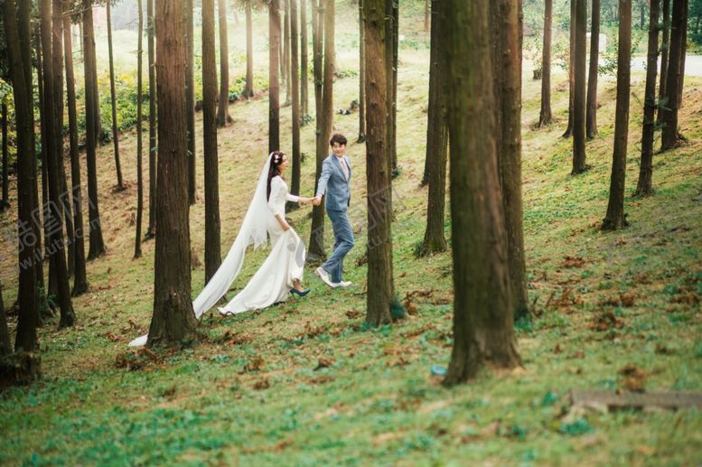 编号：44814109232310531147【酷图网】源文件下载-树林阳光