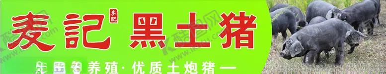 编号：37129804171150168859【酷图网】源文件下载-黑土猪广告