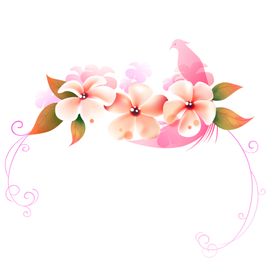 鲜花素材