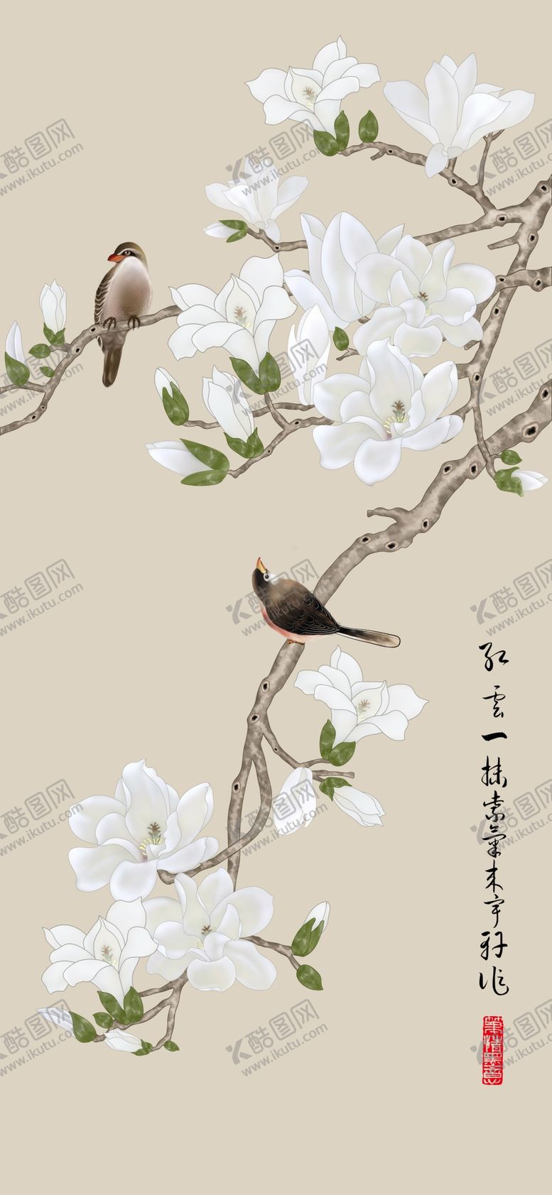 编号：51469710021003438707【酷图网】源文件下载-白色花鸟