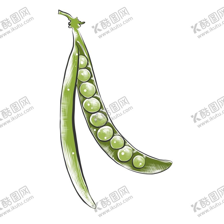 编号：43663907070207024900【酷图网】源文件下载-彩色素描蔬菜