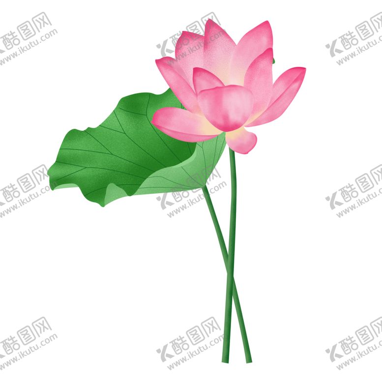 编号：39507403301321542075【酷图网】源文件下载-荷花元素
