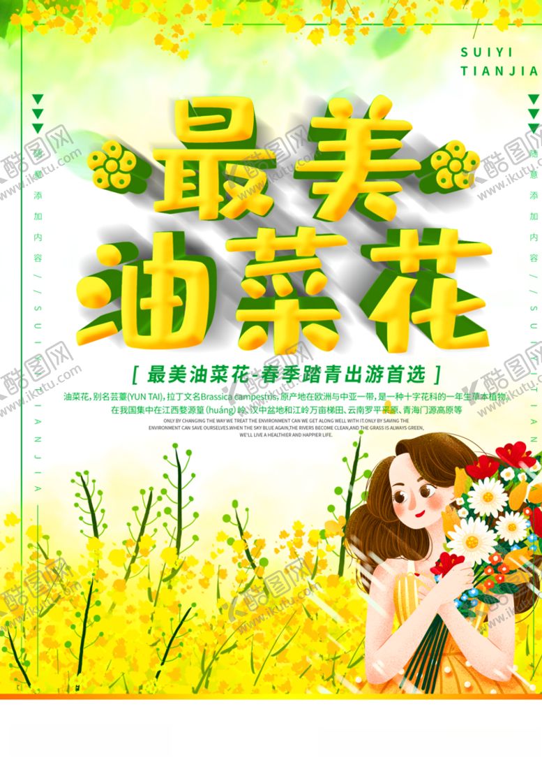 编号：84025807081337088282【酷图网】源文件下载-油菜花