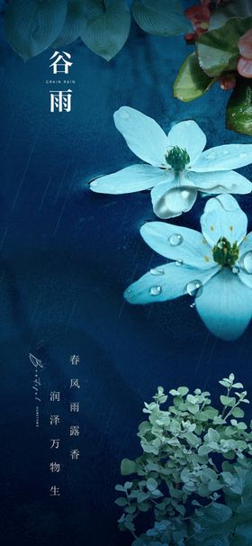 蓝底清新素雅白色小花