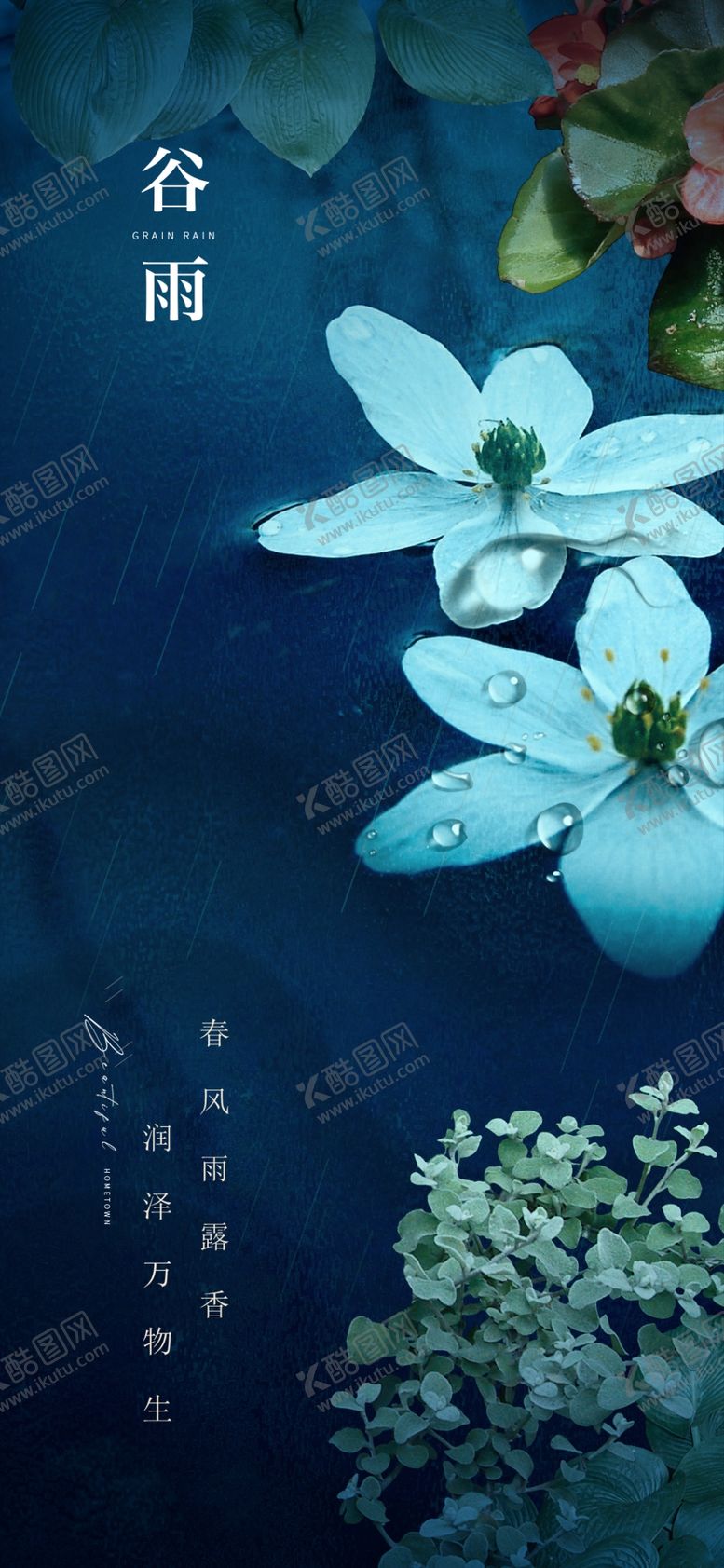 编号：14977104091535104632【酷图网】源文件下载-蓝底清新素雅白色小花