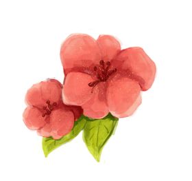手绘粉色桃花免扣素材图片一束摄影林