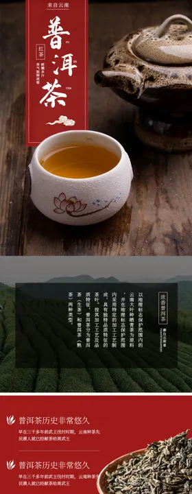 茶叶详情页