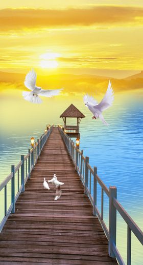 海边海鸥桥夕阳玄关图