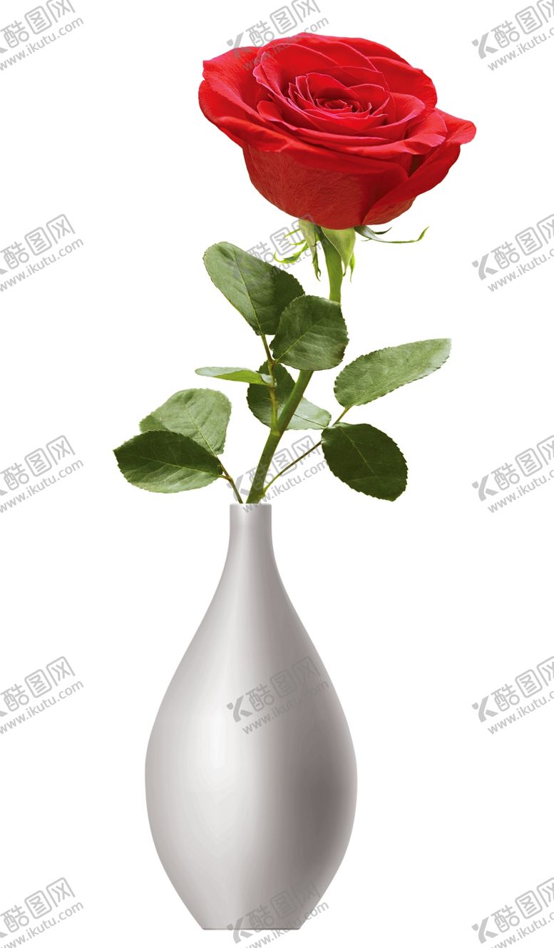 编号：83126010212100473020【酷图网】源文件下载-花瓶