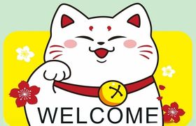 猫上拾壹