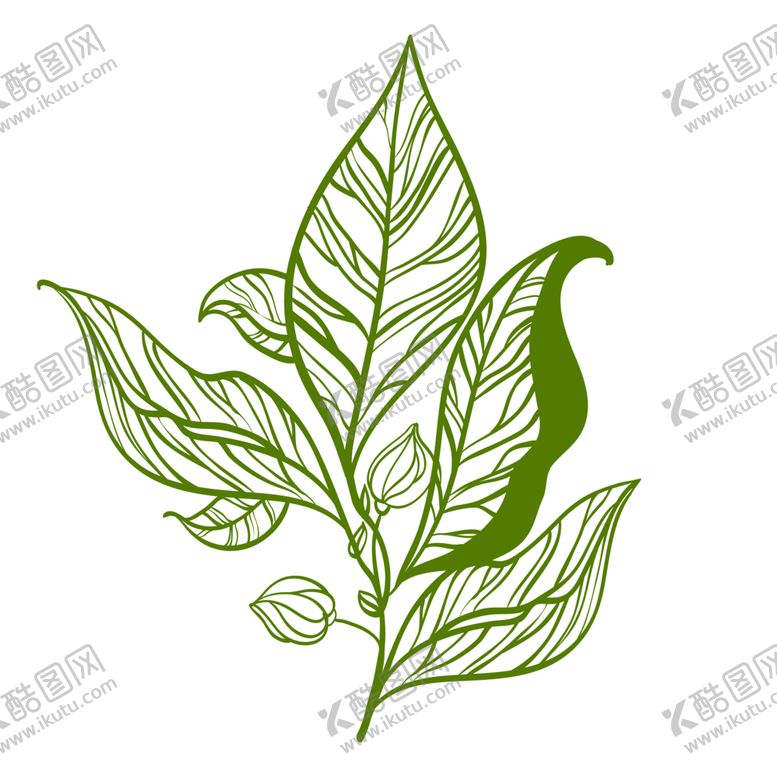 编号：18388807010811142813【酷图网】源文件下载-手绘植物