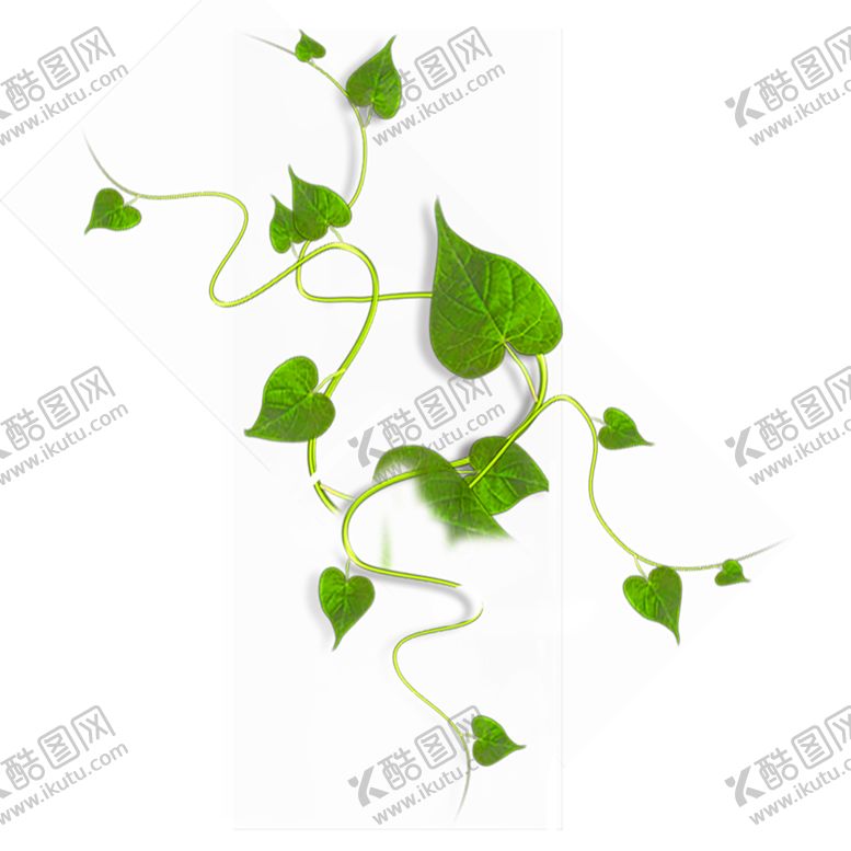 编号：52310710091516204314【酷图网】源文件下载-植物