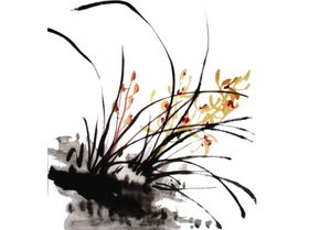 兰花