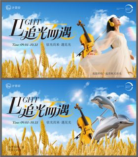 秋季主画面商业主视觉光影麦浪1