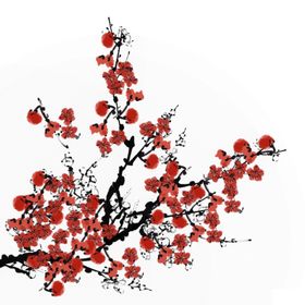 中国风水墨梅