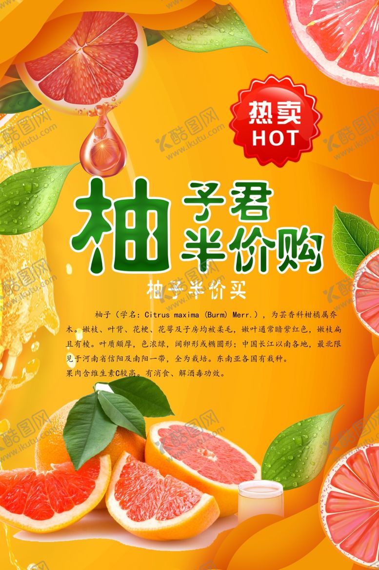 编号：14708612221118569574【酷图网】源文件下载-柚子海报