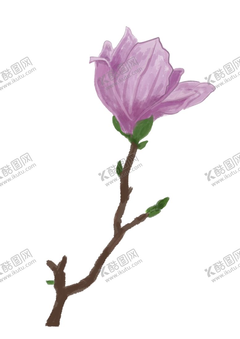 编号：94399205110200089619【酷图网】源文件下载-兰花插画