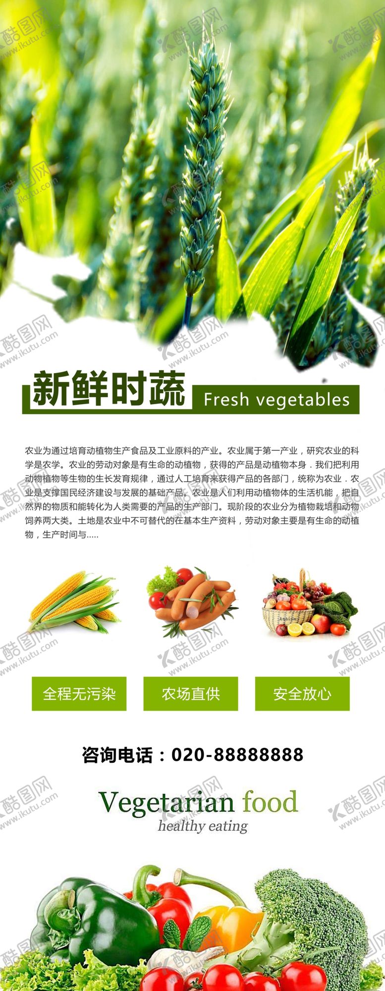 编号：88986306240449149280【酷图网】源文件下载-新鲜蔬菜展架
