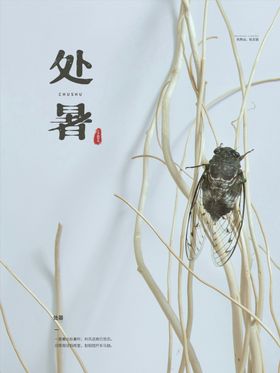 处暑
