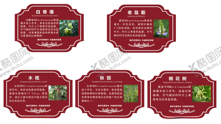 编号：13052902051114181404【酷图网】源文件下载-植物牌