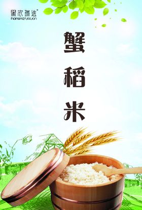 蟹稻米