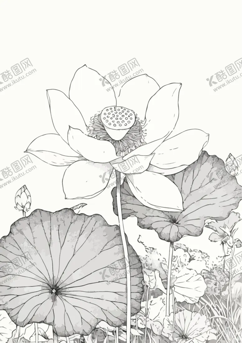 编号：54848801130158289638【酷图网】源文件下载-荷花简笔画