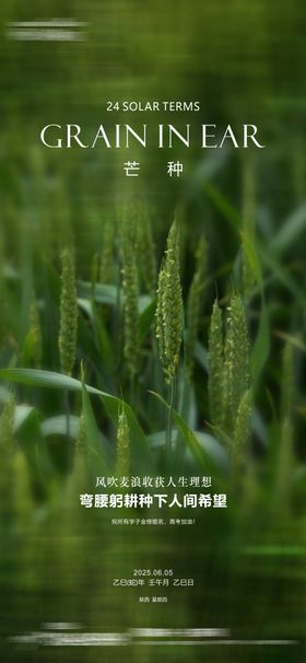 芒种二十四节气单图