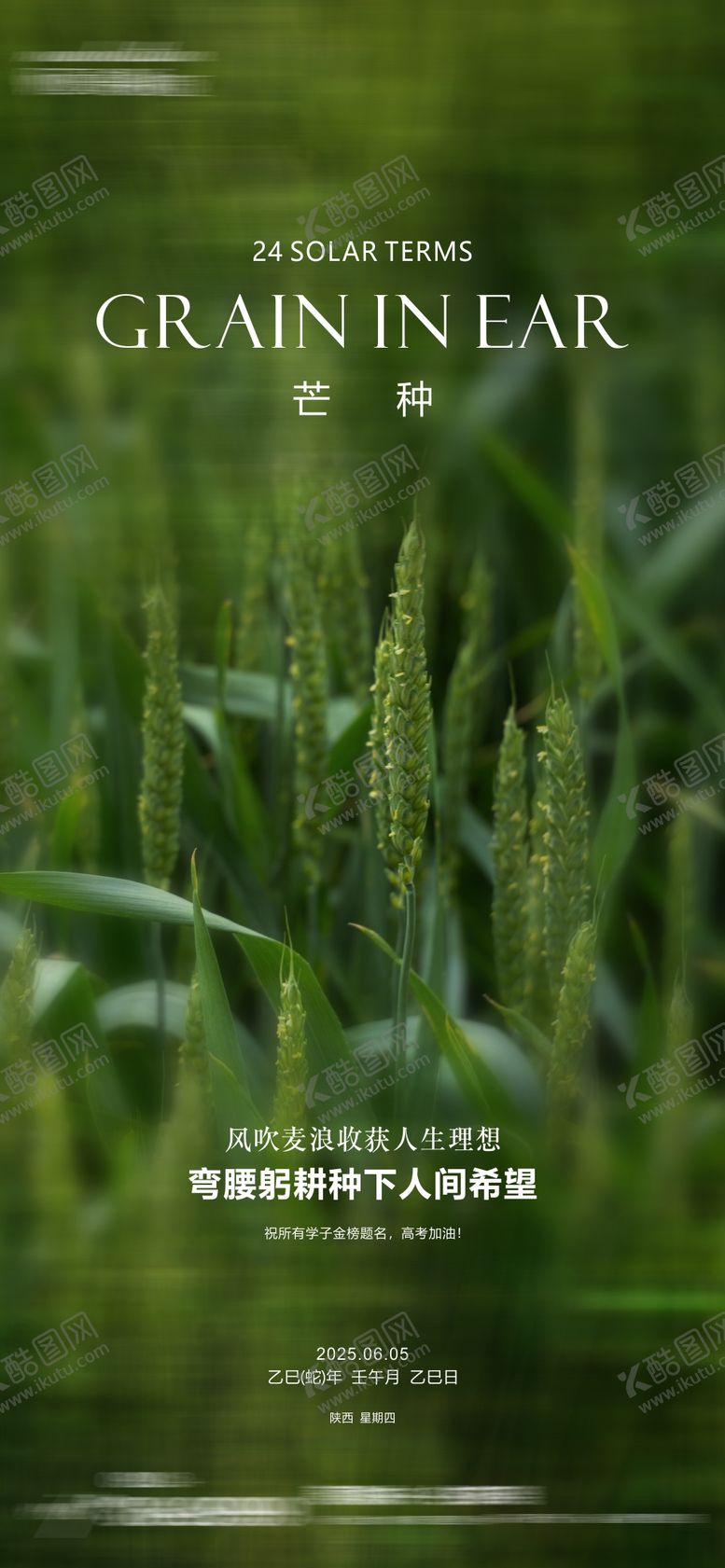 编号：65054006151939371296【酷图网】源文件下载-芒种单图